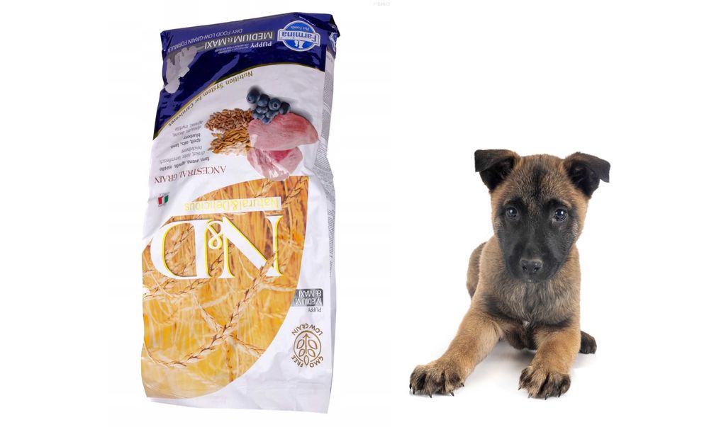 ND ANCESTRAL LOW GRAIN Lamb Medium Maxi Puppy 12kg dla szczeniąt