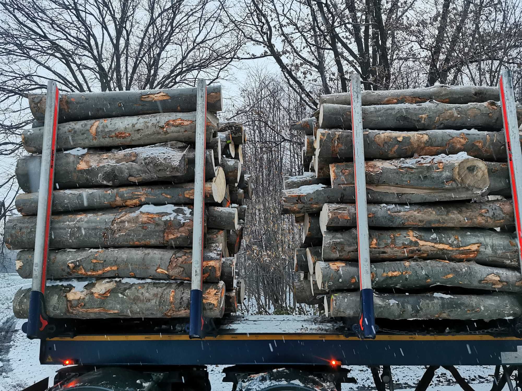 Drewno Opałowe Kominkowe Buk Grab Sezonowany Transport