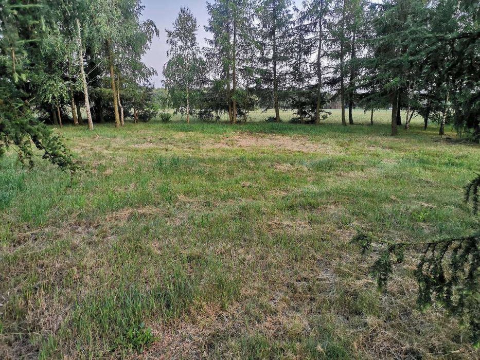 Modzele Bartłomieje 1561 m2 - warunki zabudowy, drzewa, blisko zalewu