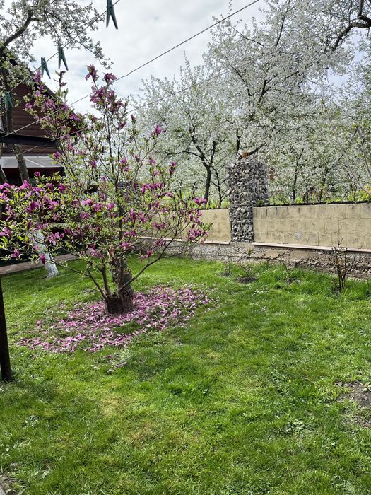 Садиба/котедж «Кароліна» подобово/довгострокова , є дати на Новий Рік