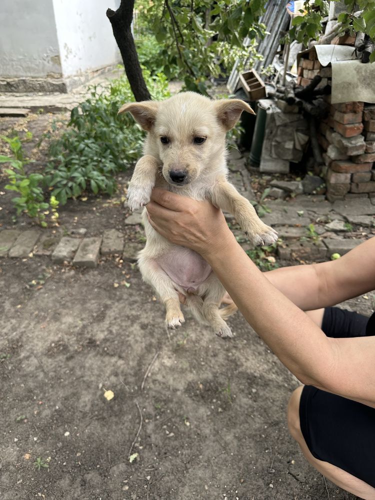 Отдам в хорошие руки девочку подкидыша, посещали клинику,