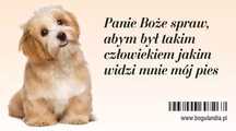 Magnes na lodówkę. Panie Boże spraw...