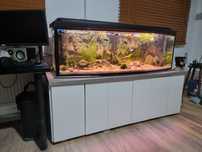 Akwarium 330L panoramiczne + filtr – solidna baza pod projekt