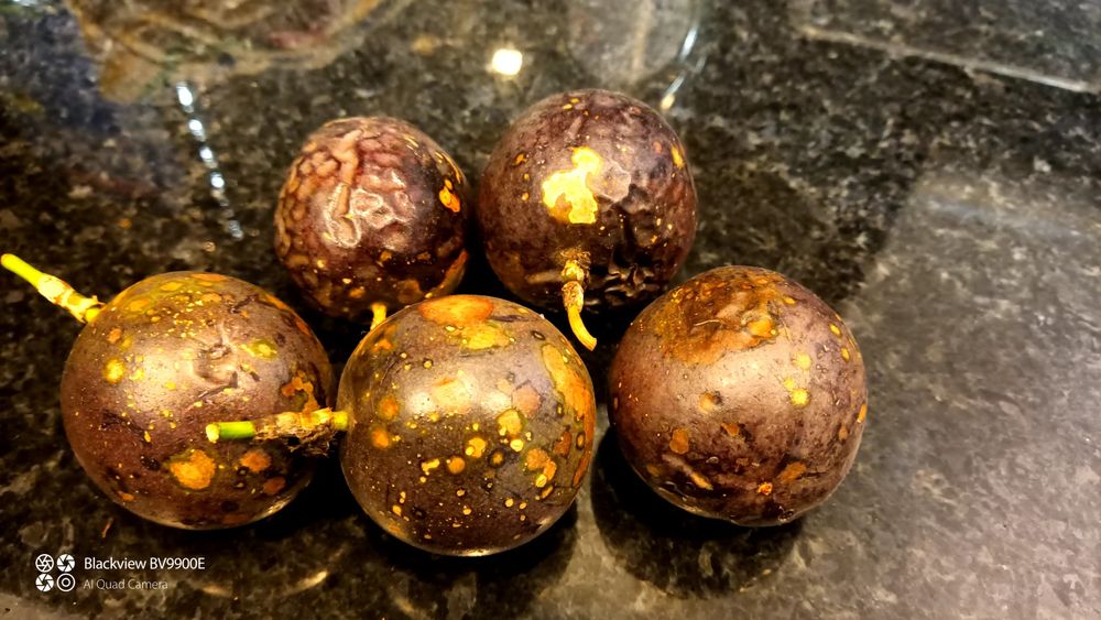 Maracujá Roxo  para entrega