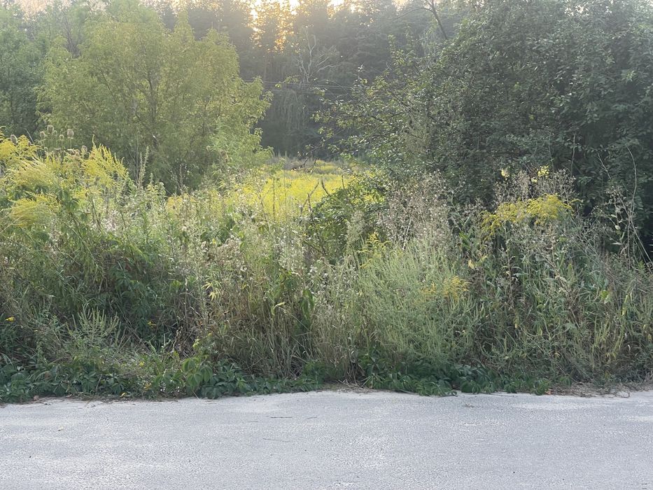 ЩАСЛИВЕ Продається Пейзажна Ділянка 15 соток вул. Соснова 70000$