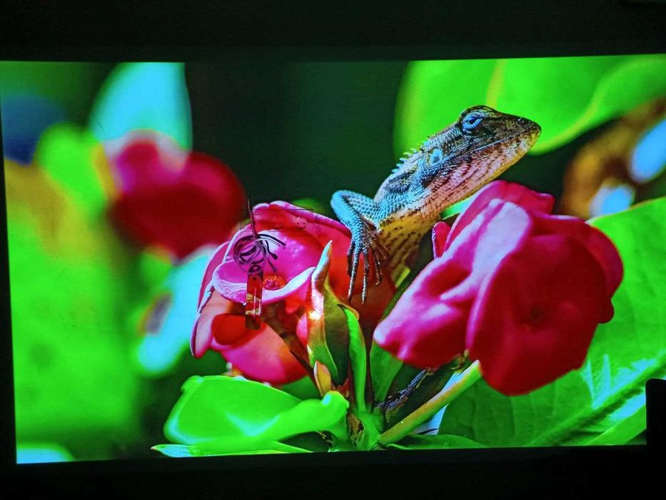 DLP Проектор Byintek U80Max акумулятор 15000мАг, офіційний, гарантія