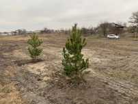 Участок 13 сот в центре Кировского (Обуховка) ул.Кольцевая