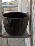 Pote para vaso
