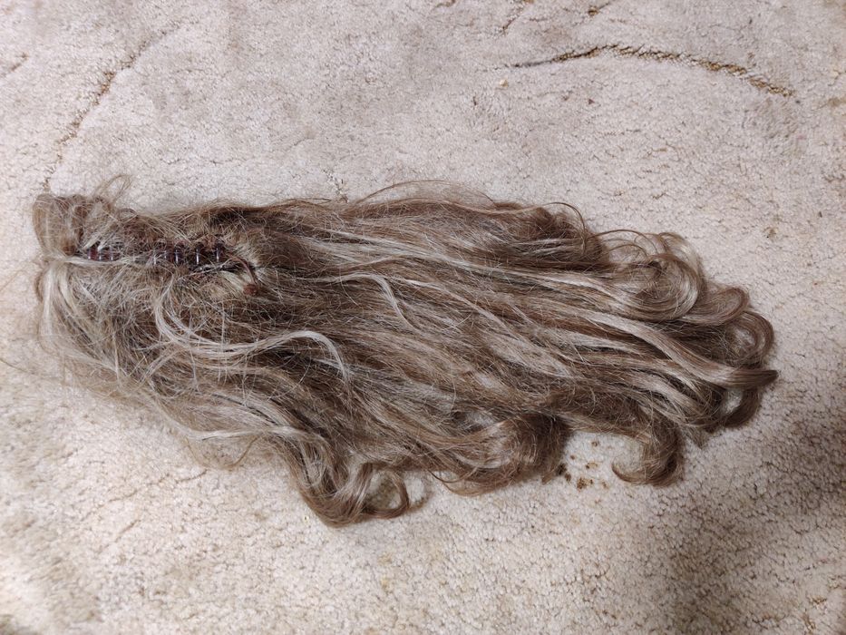 Волосся на заколці