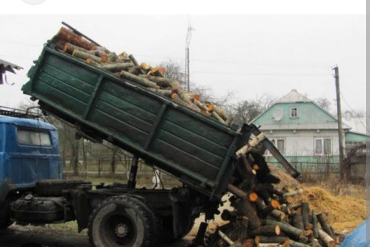 ДРОВА сосна сухостой і тверді породи ПИЛОМАТЕРІАЛИ доставка