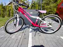 Rower  Kross lizzy