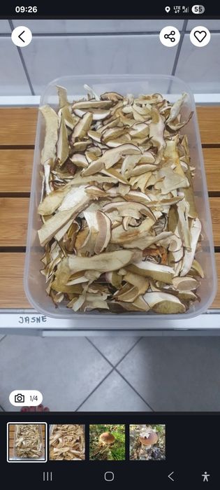 Borowik suszony, prawdziwek