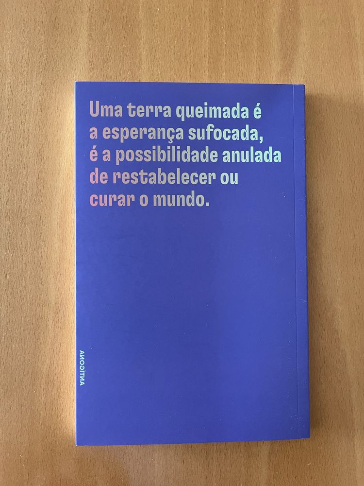 Terra Queimada, da Era Digital ao Mundo Pós-Capitalista