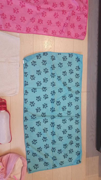 ODDAM akcesoria dla pieska wielkości shih tzu