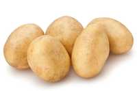 Ziemniaki sadzeniaki kwalifikowane IGNACY kl.A