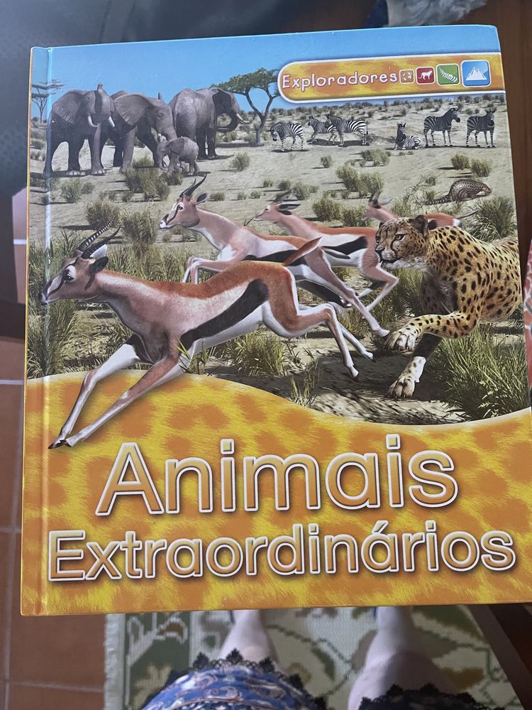 Lote livros infantis