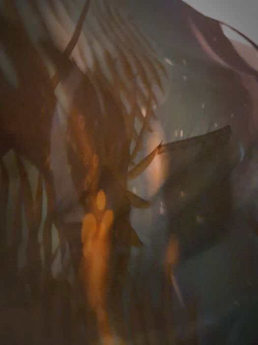 Tenda de cama de criança usada