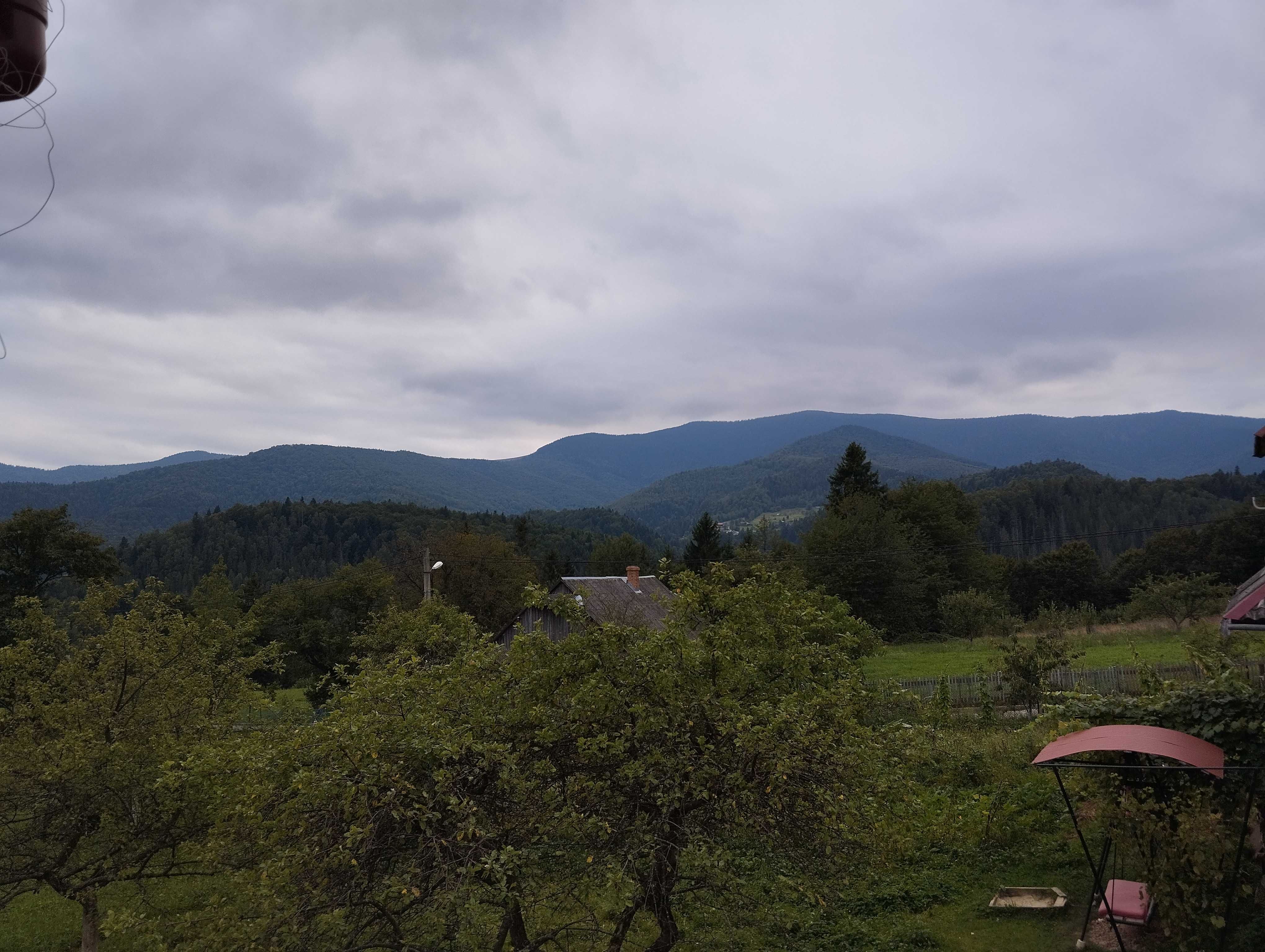 Відпочинок в Яремче, Азалія, поруч є чани та басейн