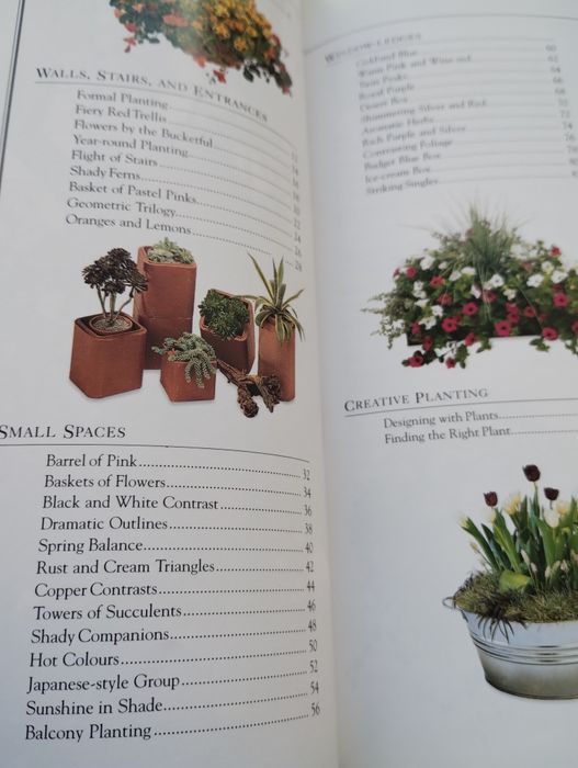 Gardening without garden ogród w pojemnikach  rośliny na taras balkon