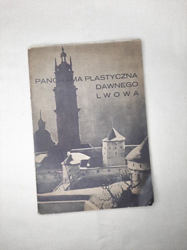 Panorama plastyczna dawnego Lwowa