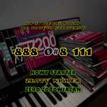 Złoty numer 888xx8111