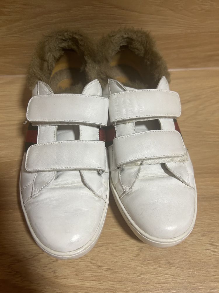 Buty Gucci 36 rozniar