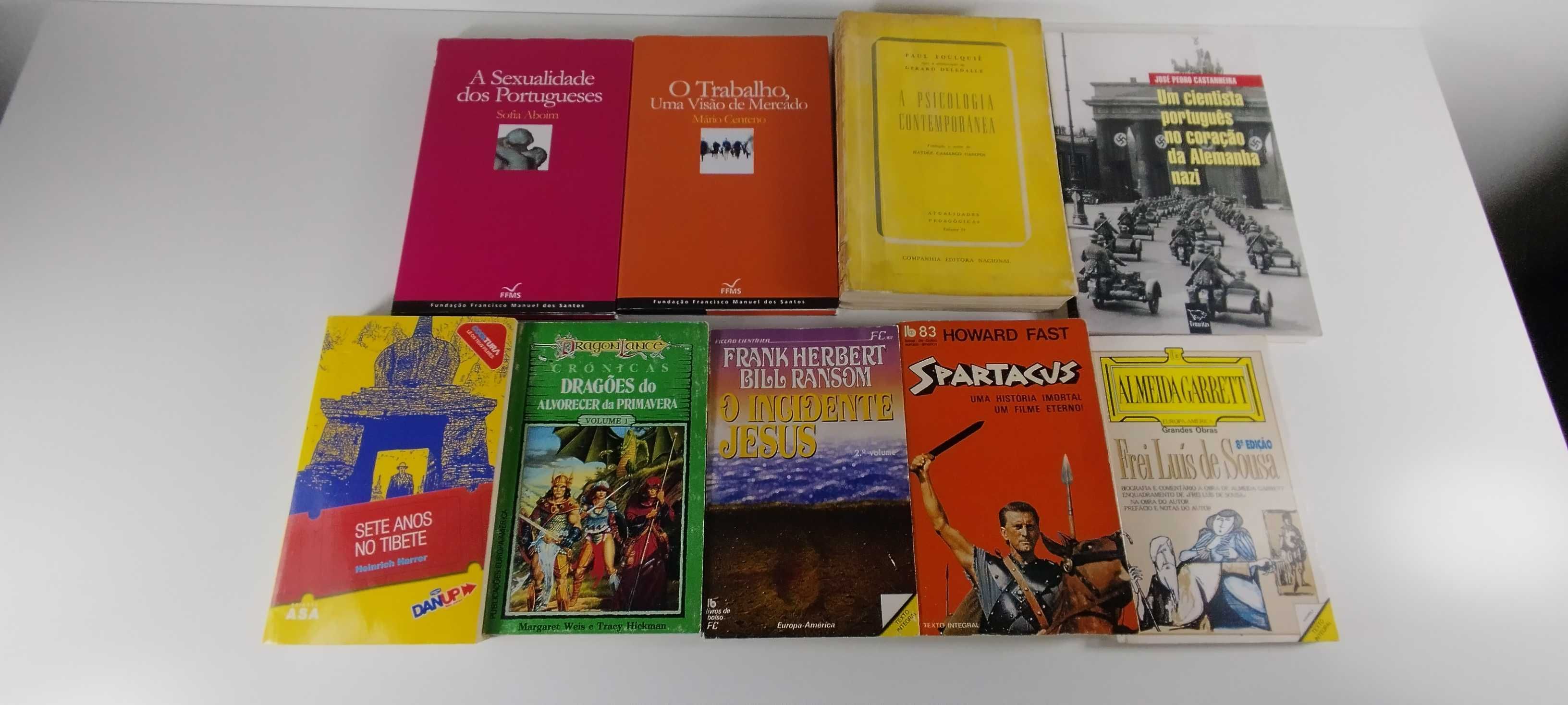 Lote de Livros Diversos em Português