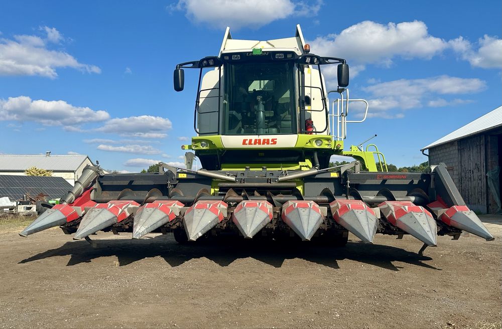 Koszenie zbiór kukurydzy na ziarno Claas lexion 580