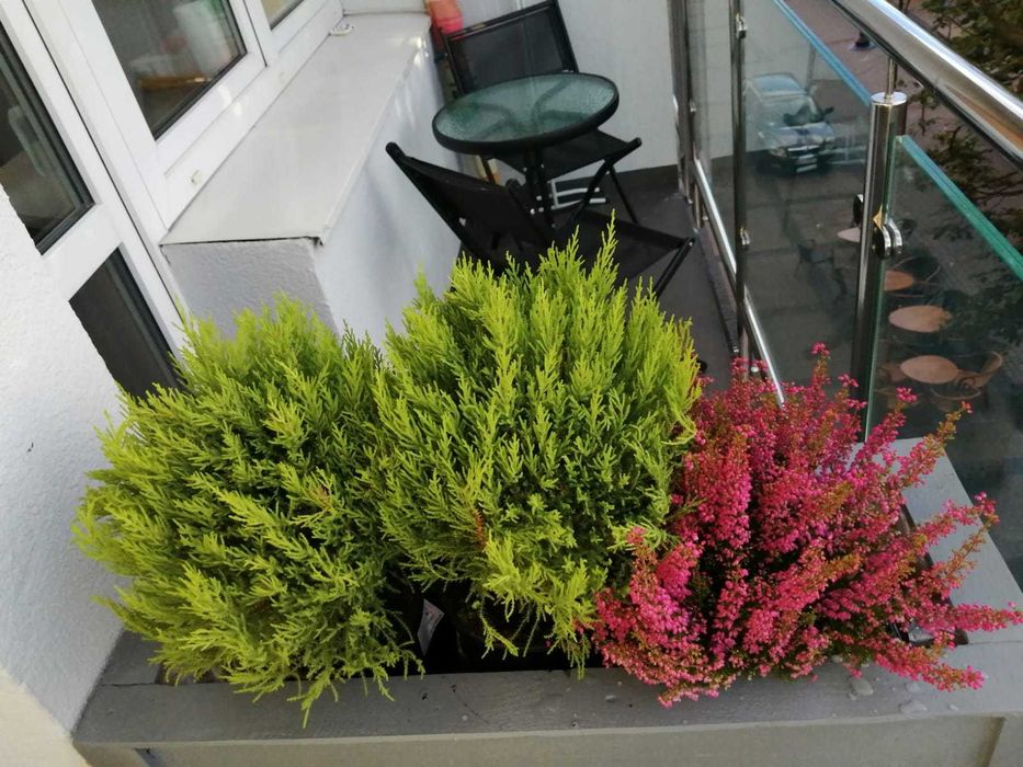 Pokoje z łazienkami i balkonami Ustka Wschodnia (150m od plaży)