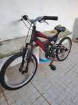 Bicicleta de criança TEAM - DS 220