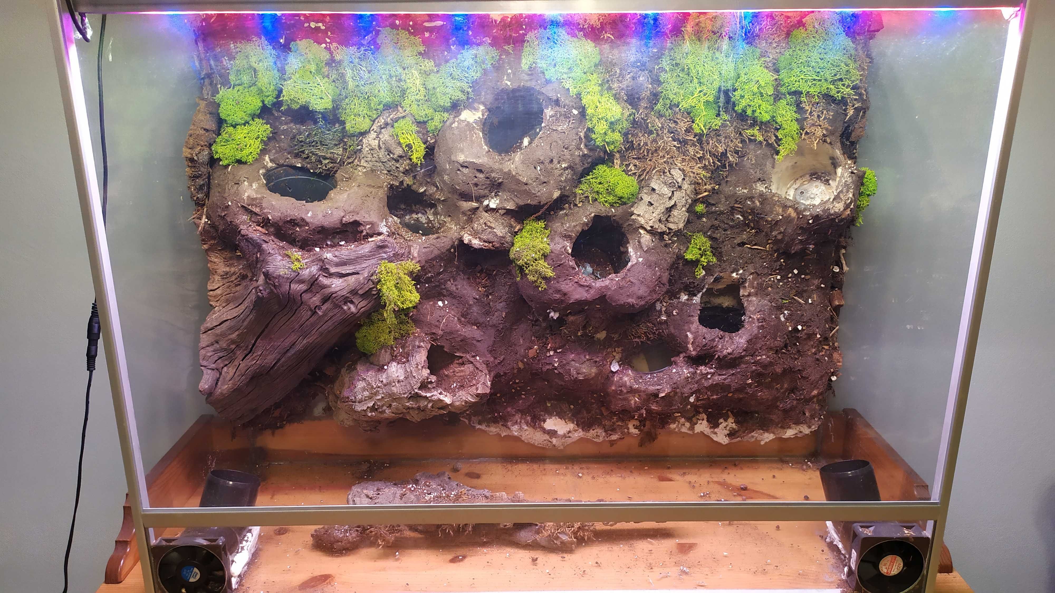 Terrarium dla roślin lub zwierząt