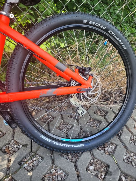 rower kellys whip 10