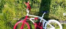 BMX de colecionador