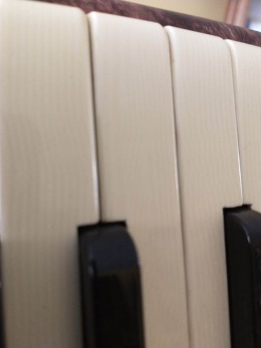 Akordeon S. Soprani 120