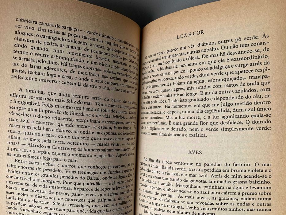 Os Pescadores, de Raul Brandão