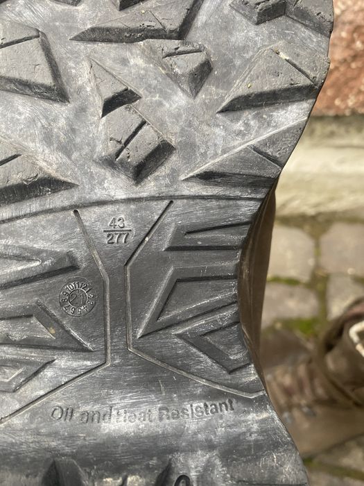 Берци взутя талант