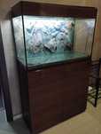 Akwarium Aquael glossy 125l
