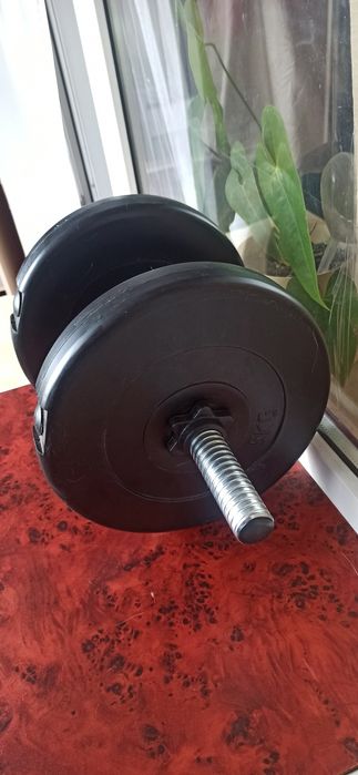 Гантель наборная 10кг