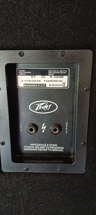 Kolumny estradowe Peavey St-15