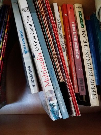 Livros (100 livros)
