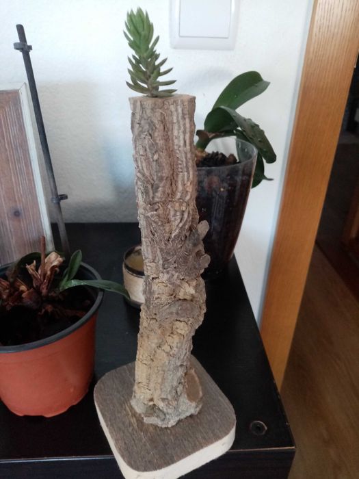 Jarra solitário Artesanato