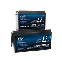 Акумулятори Codi Energy LiFePo4, 12/24V, 120/180А