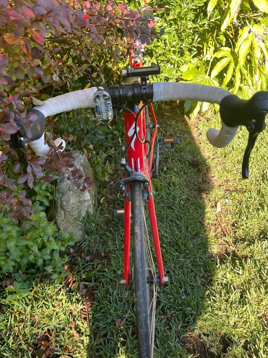 Specialized Langster seminova