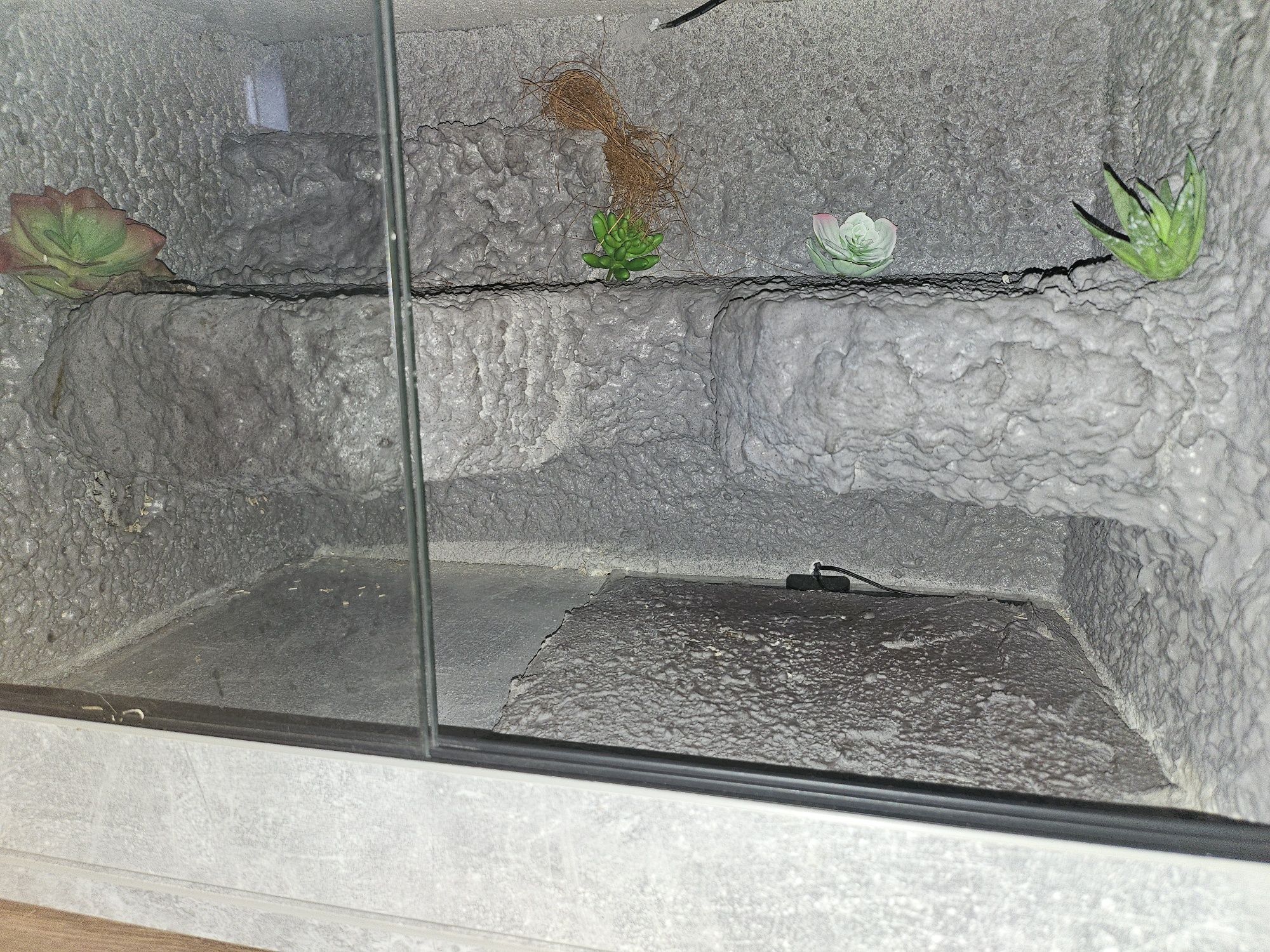 Terrarium 60x40x40