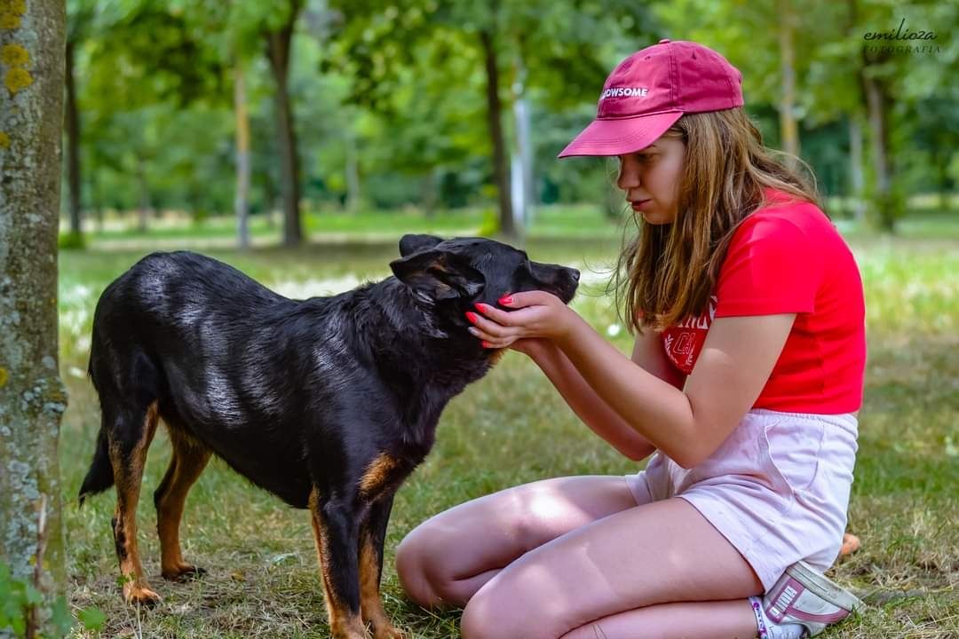 Pilnie szukamy Domu dla naszej nieśmiałej suni!