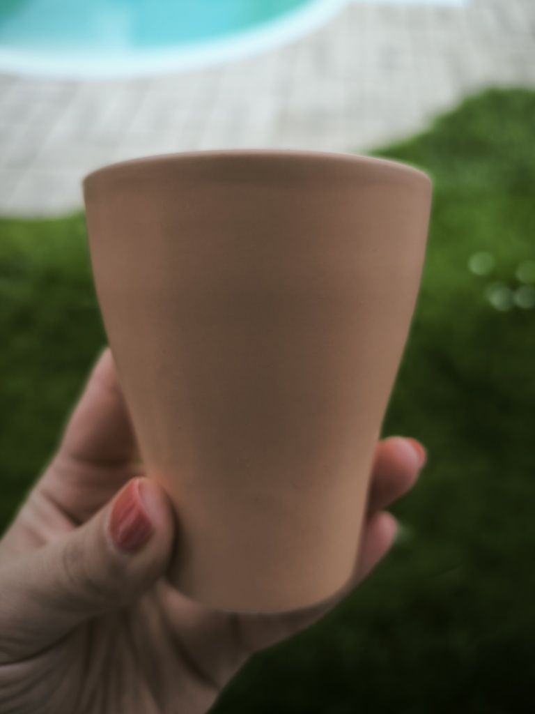 Vasos de plantas variados