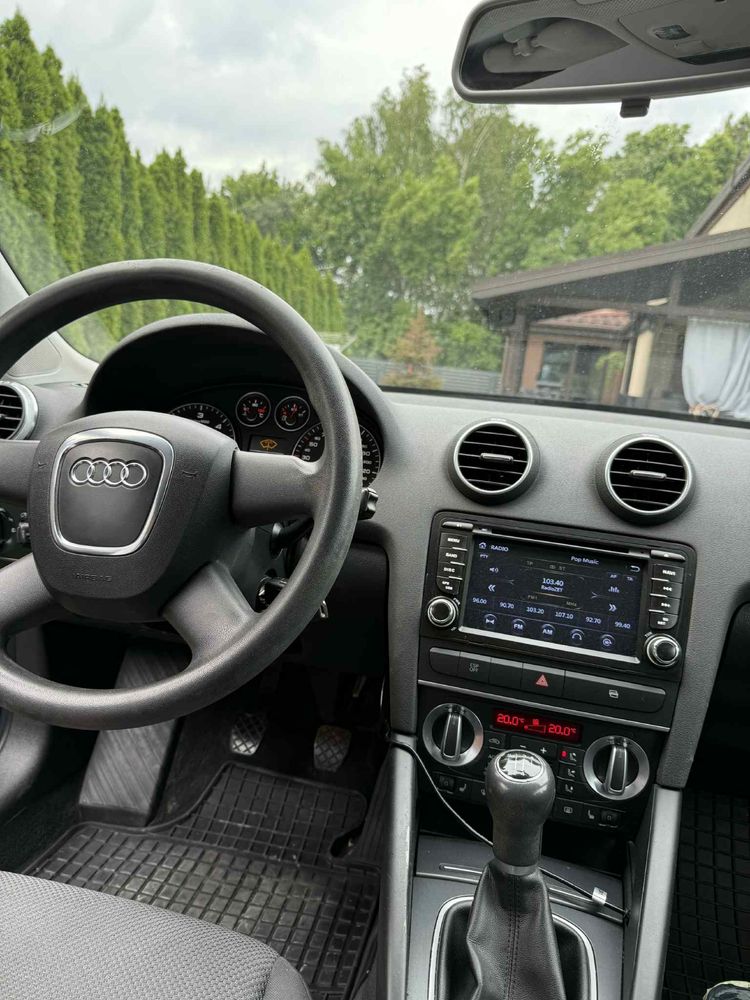 Audi A3 8P 1.9 TDI