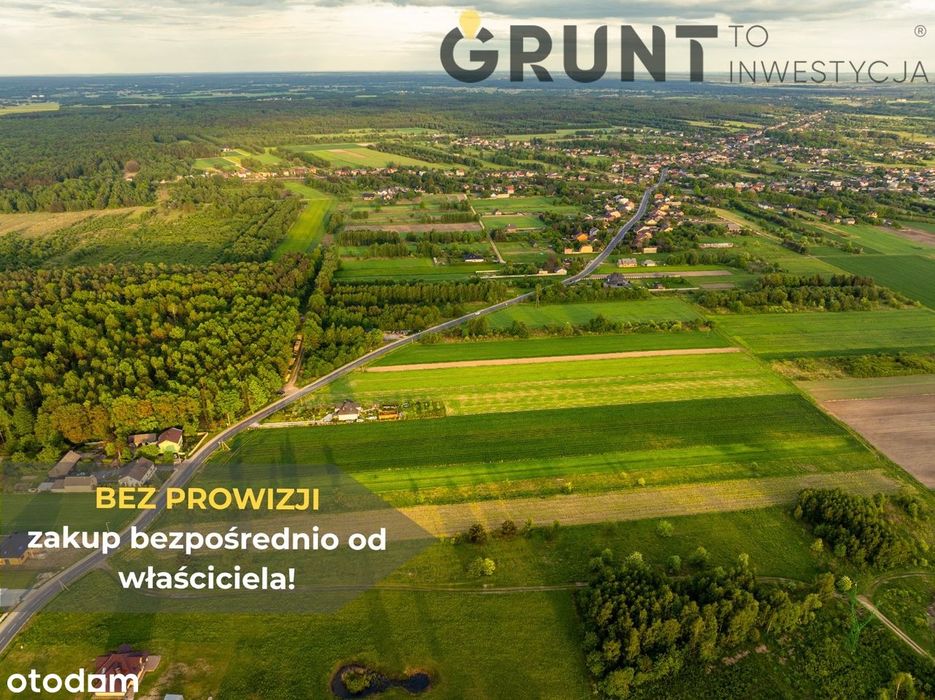Działki blisko lasu, przy drodze asfaltowej