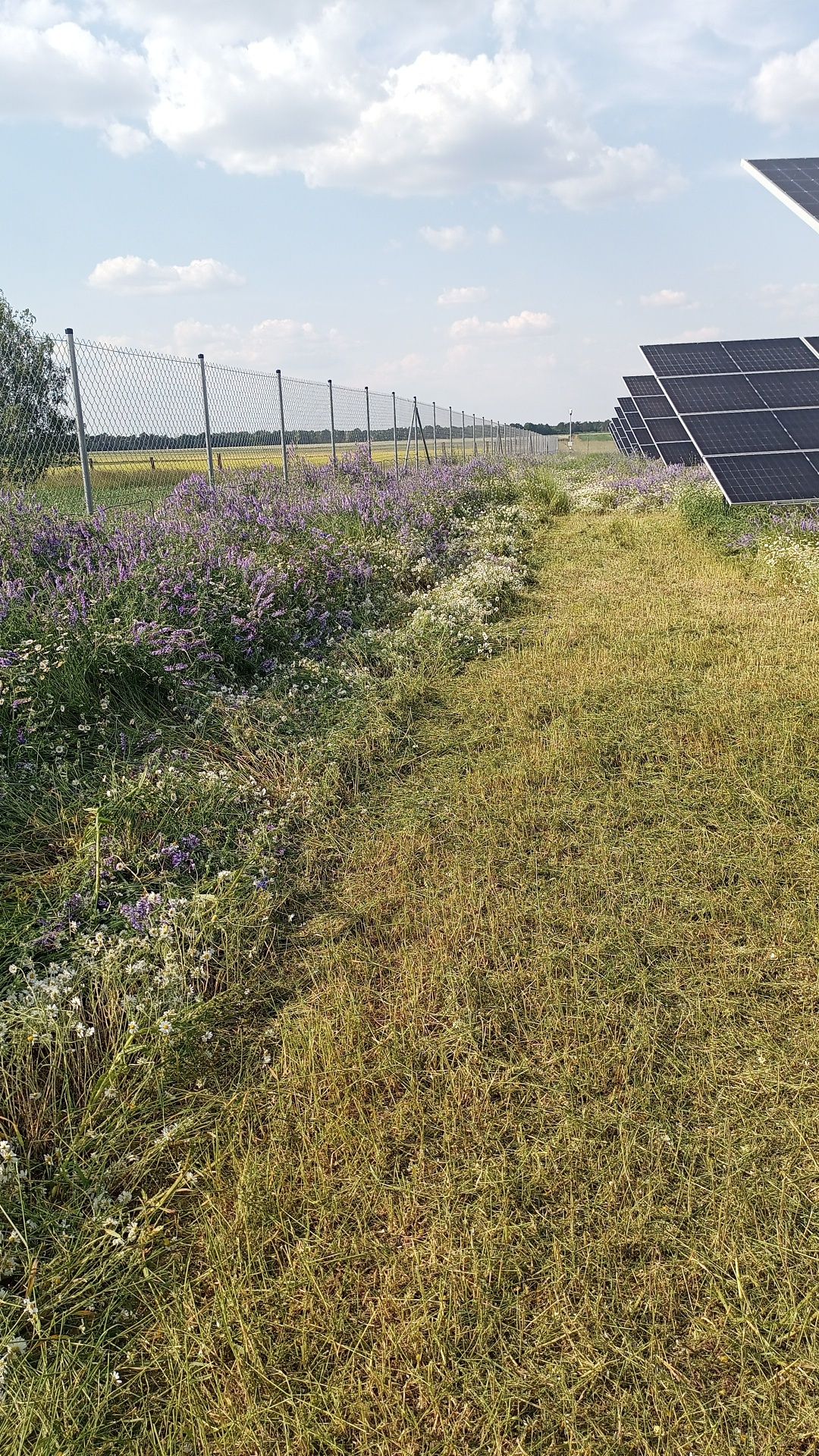 Koszenie zieleni, Mycie Farm Fotowoltaicznych, Koszenie Farm