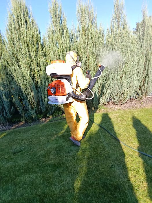 Садові   послуги( Обробка дерев)